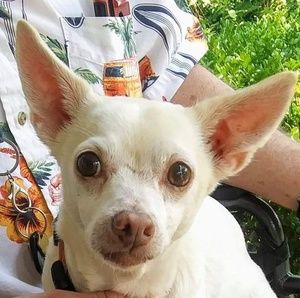 Meet your Posher, Marilynn